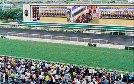 香港彩票图鉴：一趟列车带来的不同体验