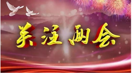 两会追踪｜人大代表：彩票可筹建罕见病专项基金
