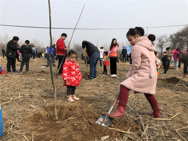 6年义务植树超1300余株