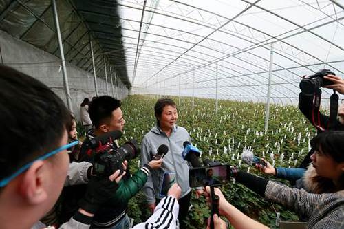 省乡村振兴服务队支部副书记、省福彩中心技术部部长陈宗芹为山东福彩和招贤玫瑰牵线搭桥
