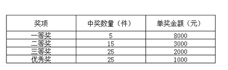 奖项数量及奖金设置