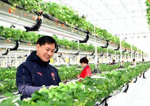 体彩公益金助力孟李庄村成为“梦里乡村”
