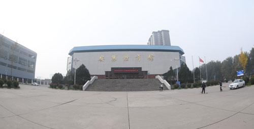 　生活与赛场：推进球类运动发展 