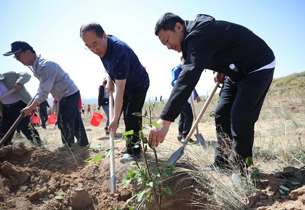 党日活动义务植树