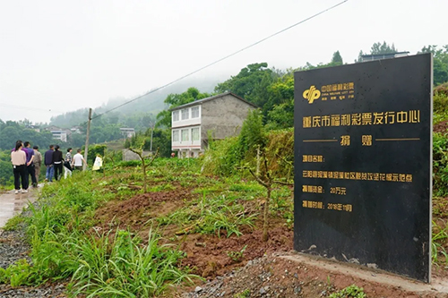 落实2020年资助建设乡村太阳能路灯项目情况