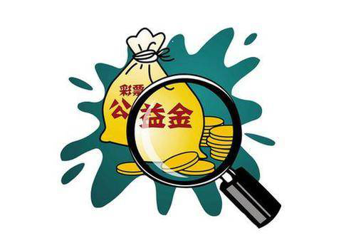  2019年福彩公益金使用去向
