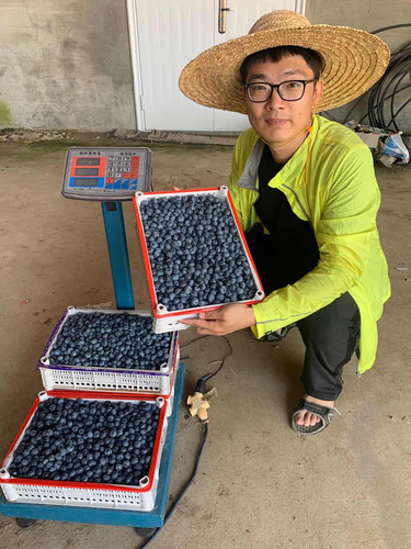 扩宽乡里农产品的销路