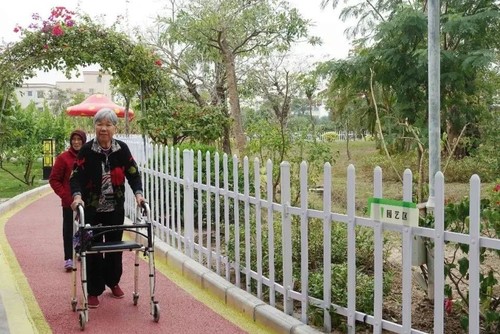 田园绿化风光很受老人们欢迎