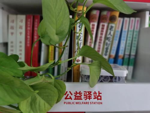 已建成三类福彩公益驿站