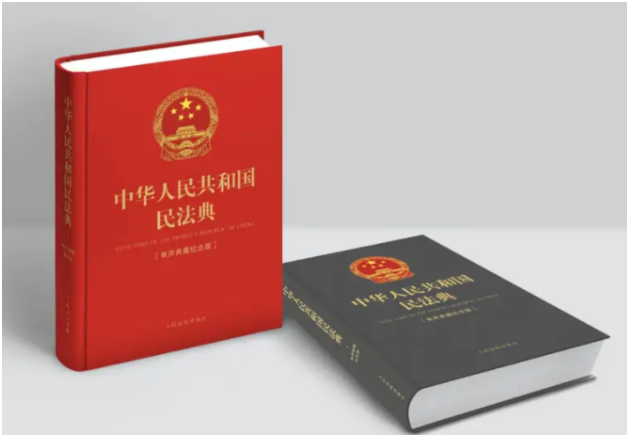 《中华人民共和国民法典》