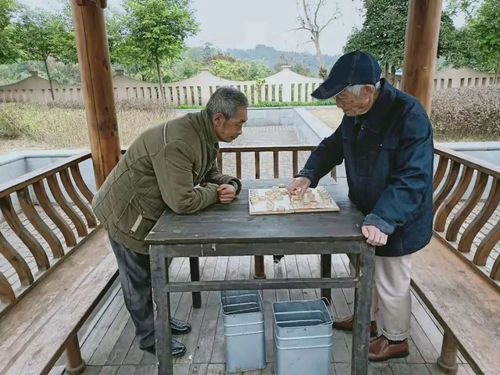 老人下棋开动脑筋