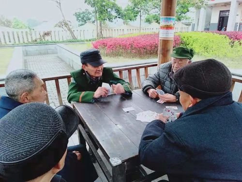 老人们玩纸牌交流感情