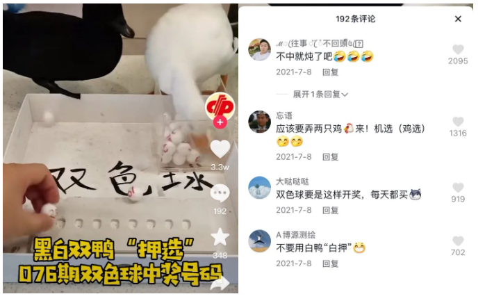 衡阳福彩的“彩票鸭选”